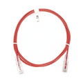 Cable de Parcheo Slim UTP Cat6 - 1.5 Metros (4.92 Pies) Rojo Diámetro Reducido (28 AWG)