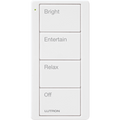 Control remoto inalambrico PICO, con escenas predefinidas para espacio en sala..